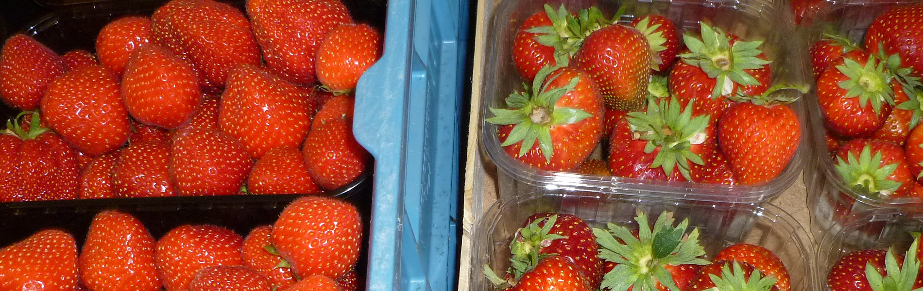 Aardbeien